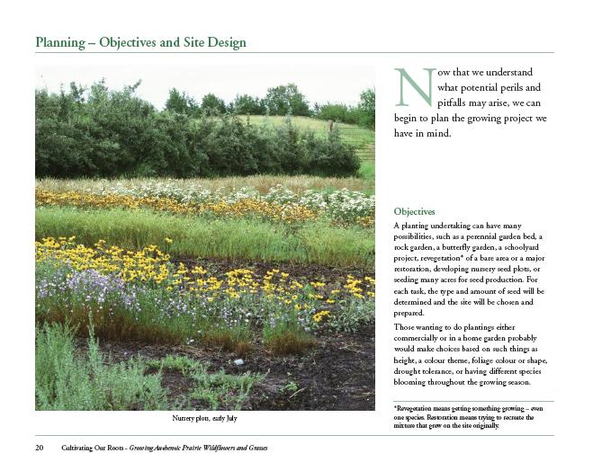 Sample page with image of nursery plots